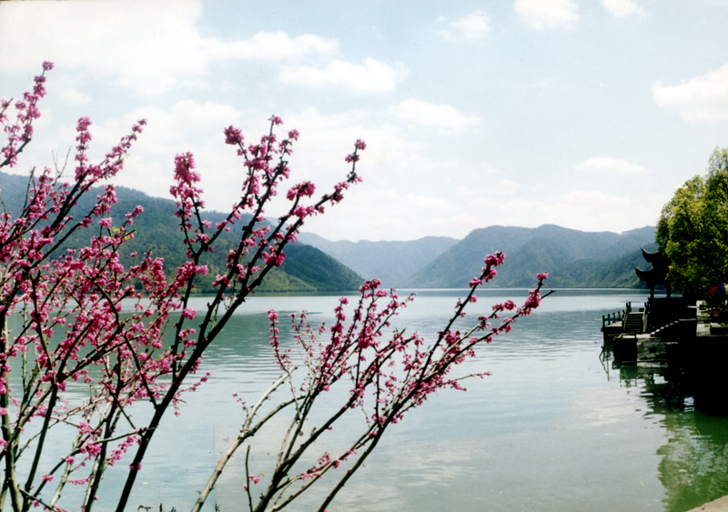 小区看到“燃气保安阀”通知,却不料是“李鬼”